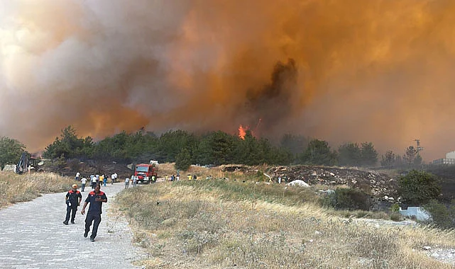 Çanakkale Kepez’de Orman Yangını