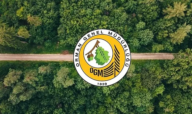 OGM: Orman Yangını Riski Yükseldi, Dikkatli Olalım!