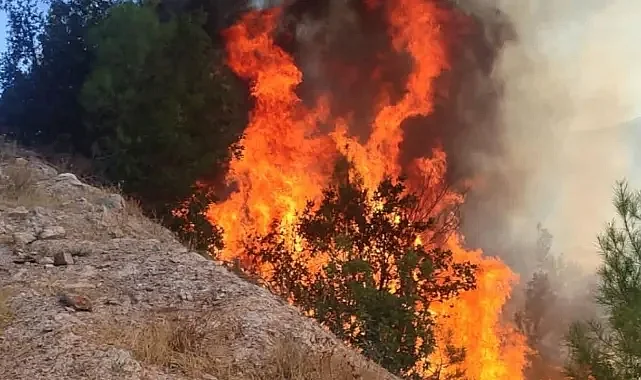 Balıkesir Sındırgı’da orman yangını: Ekipler seferber oldu