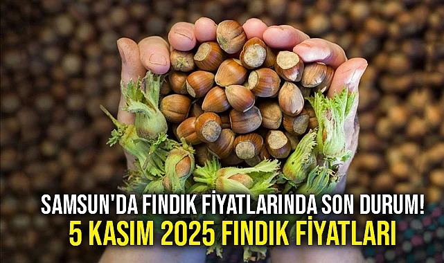 Samsun'da Fındık Fiyatlarında Son Durum! 5 Kasım 2025 Fındık Fiyatları