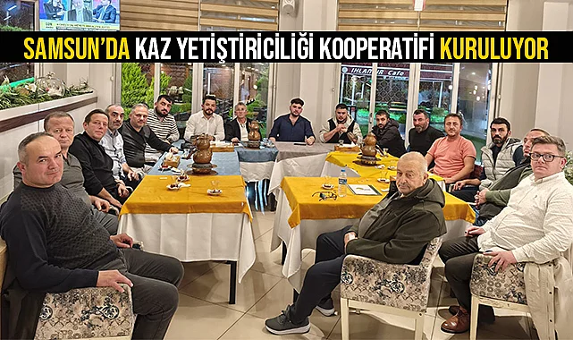 Samsun’da Kaz Yetiştiriciliği Kooperatifi Kuruluyor