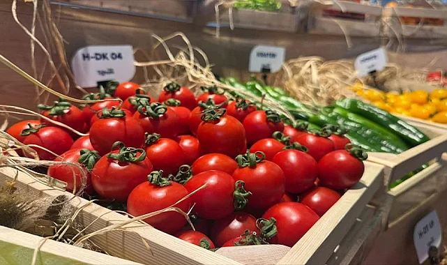 Türkiye Tohumda İhracatçı Ülke Konumunu Güçlendirdi