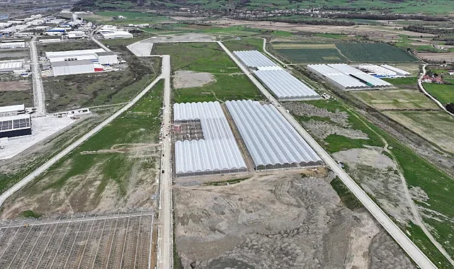 Samsun Sera Organize Tarım Bölgesi'nden Ekonomiye Büyük Katkı