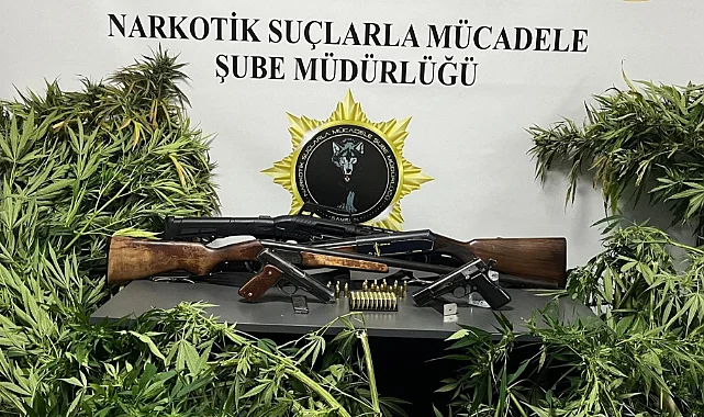 Samsun Polisinin Uyuşturucuyla Mücadelesinde Peş Peşe Operasyonlar